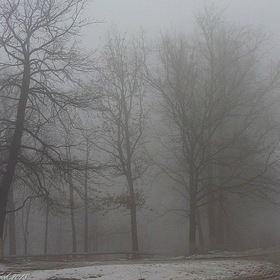 Апрельский туман