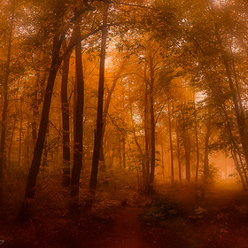 Тихо в лесу угасает день...